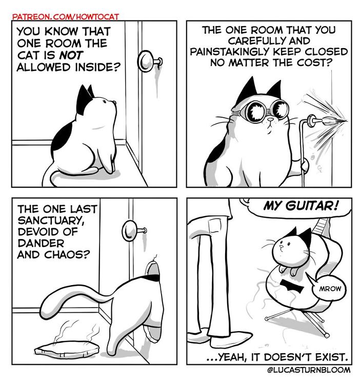 My Wife Insisted That I Put These Comics On The Internet &ndash; They&rsquo;re About A Cat We Rescued (45 New Pics)