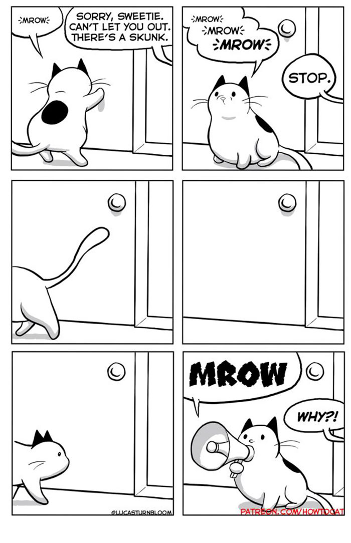 My Wife Insisted That I Put These Comics On The Internet &ndash; They&rsquo;re About A Cat We Rescued (45 New Pics)
