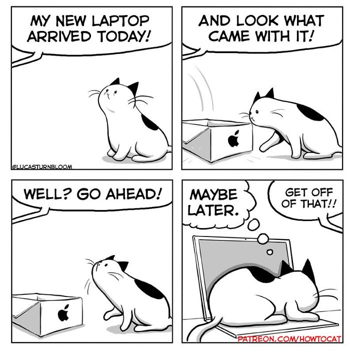 My Wife Insisted That I Put These Comics On The Internet &ndash; They&rsquo;re About A Cat We Rescued (45 New Pics)