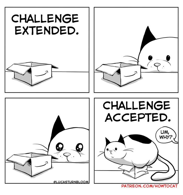 My Wife Insisted That I Put These Comics On The Internet &ndash; They&rsquo;re About A Cat We Rescued (45 New Pics)