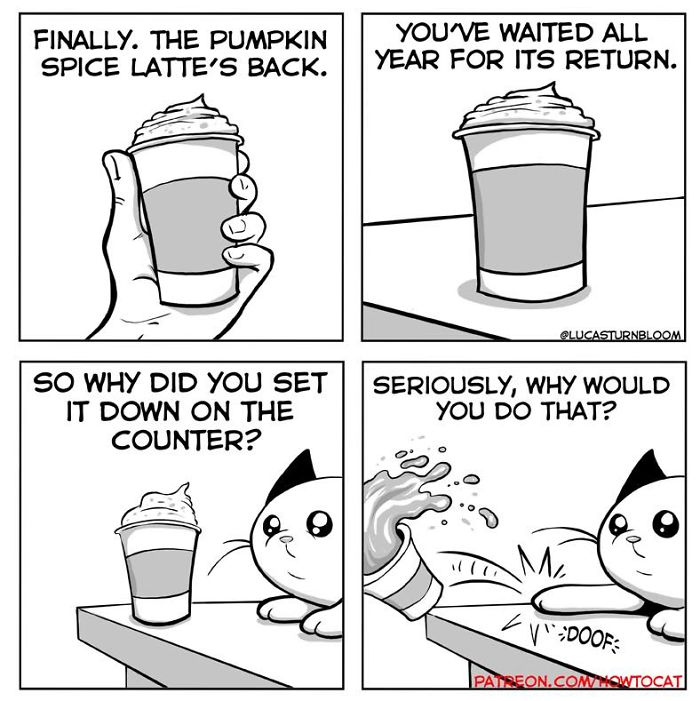 My Wife Insisted That I Put These Comics On The Internet &ndash; They&rsquo;re About A Cat We Rescued (45 New Pics)