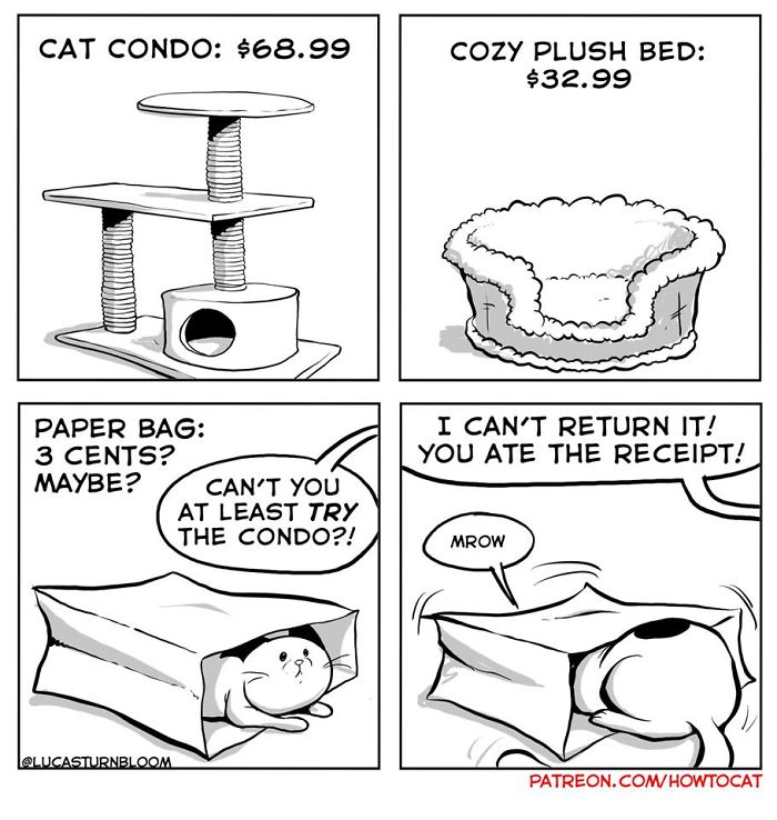 My Wife Insisted That I Put These Comics On The Internet &ndash; They&rsquo;re About A Cat We Rescued (45 New Pics)