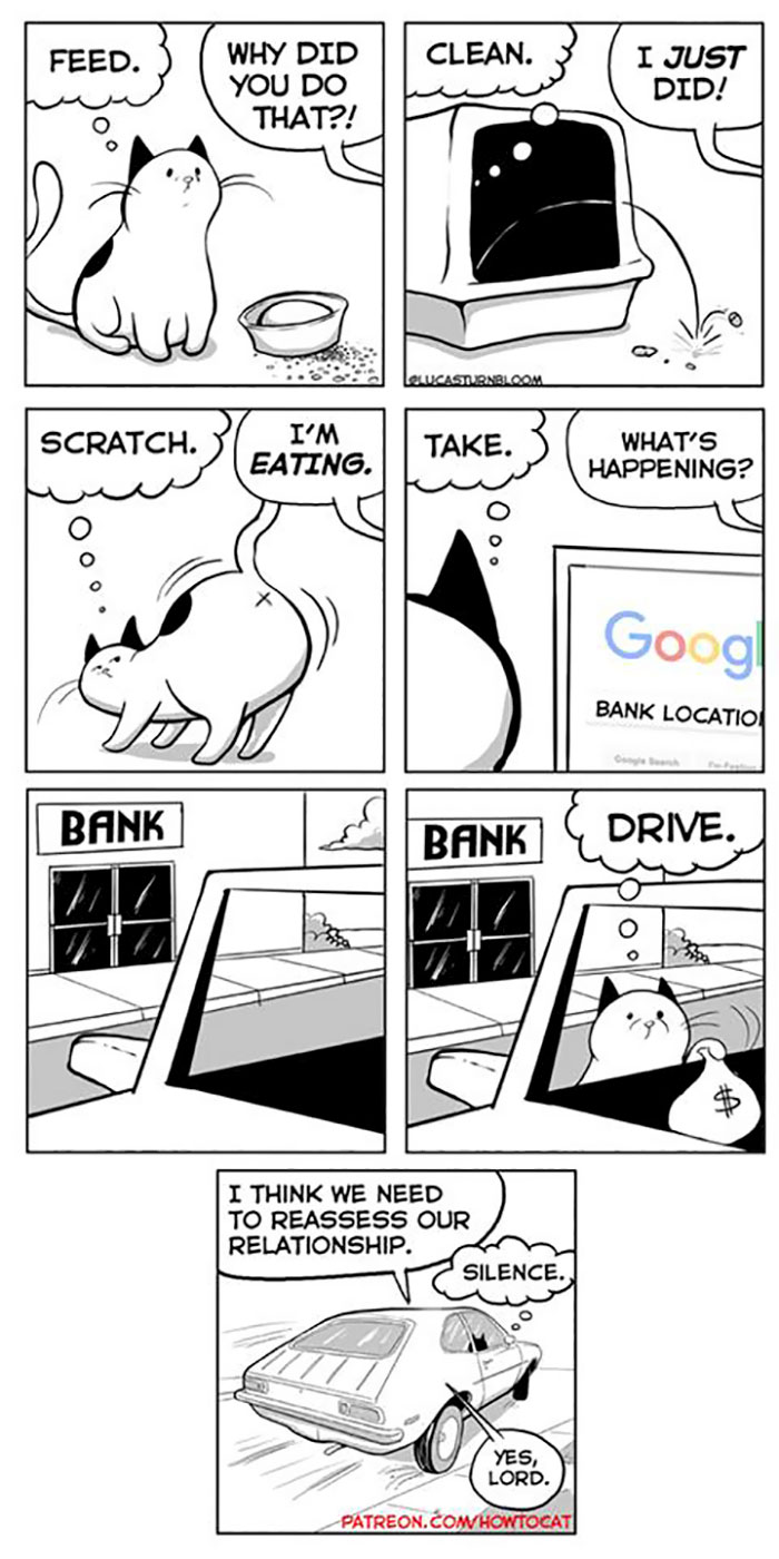 My Wife Insisted That I Put These Comics On The Internet &ndash; They&rsquo;re About A Cat We Rescued (45 New Pics)