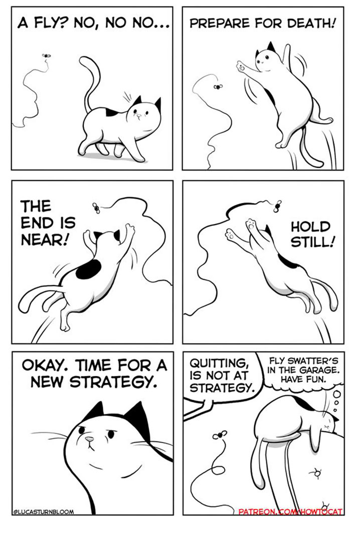 My Wife Insisted That I Put These Comics On The Internet &ndash; They&rsquo;re About A Cat We Rescued (45 New Pics)