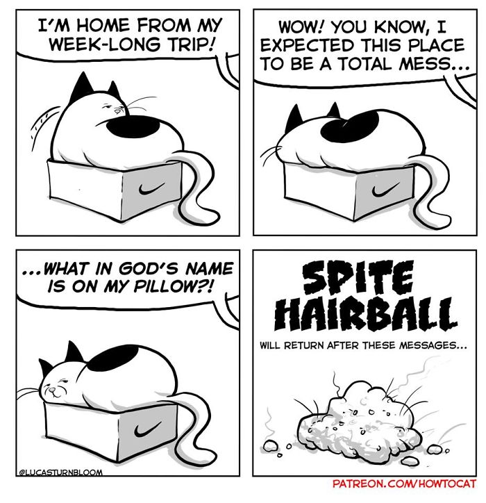 My Wife Insisted That I Put These Comics On The Internet &ndash; They&rsquo;re About A Cat We Rescued (45 New Pics)