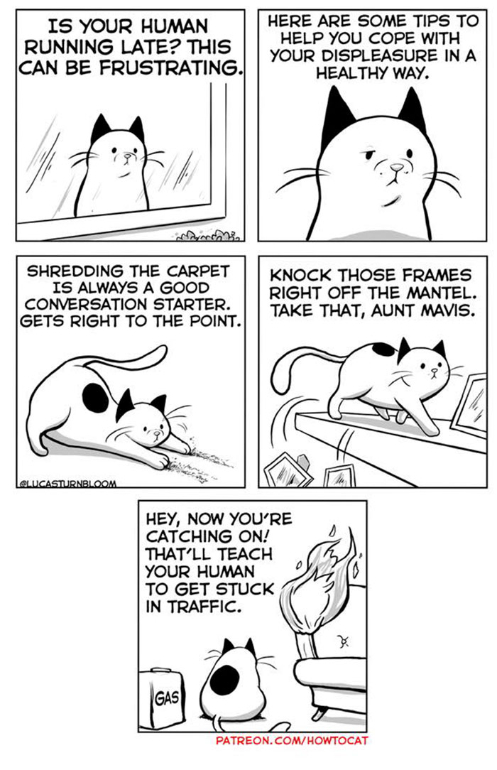 My Wife Insisted That I Put These Comics On The Internet &ndash; They&rsquo;re About A Cat We Rescued (45 New Pics)
