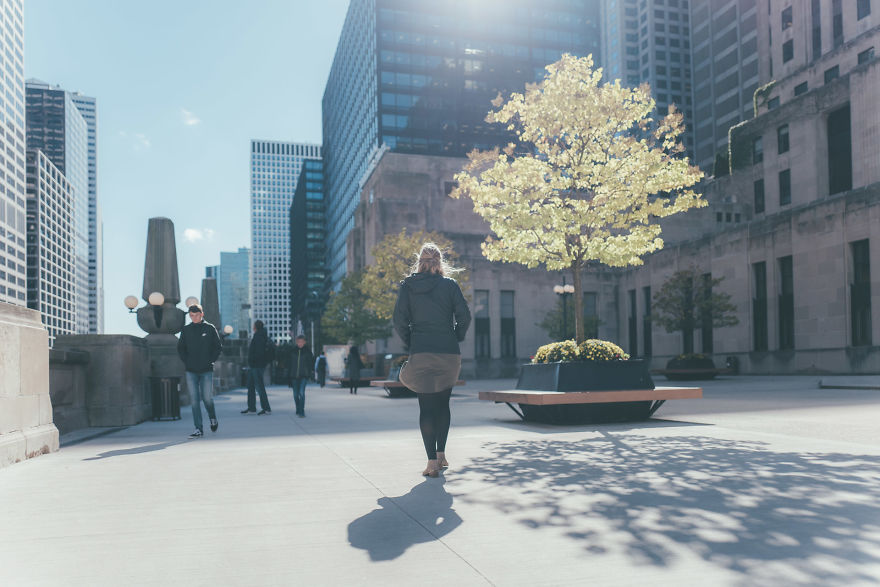 My Week In Chicago My Week In Chicago