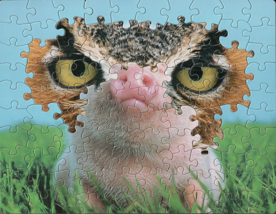 Artist Comes Up With Genius Way To Use Puzzles, Sells The Result For Up To $650 Artist Comes Up With Genius Way To Use Puzzles, Sells The Result For Up To $650