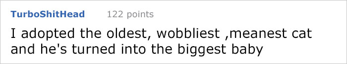 This Comic About ‘Unadoptable’ Cats Is Amazing This Comic About ‘Unadoptable’ Cats Is Amazing