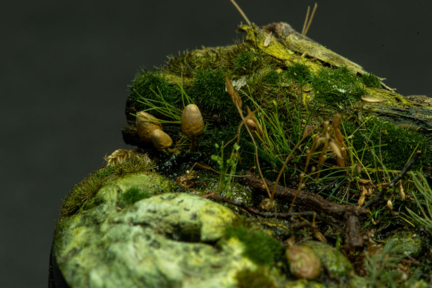 I Like To Build Small Nature Inspired Dioramas I Like To Build Small Nature Inspired Dioramas