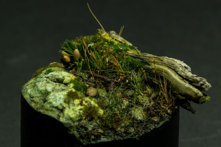 I Like To Build Small Nature Inspired Dioramas I Like To Build Small Nature Inspired Dioramas