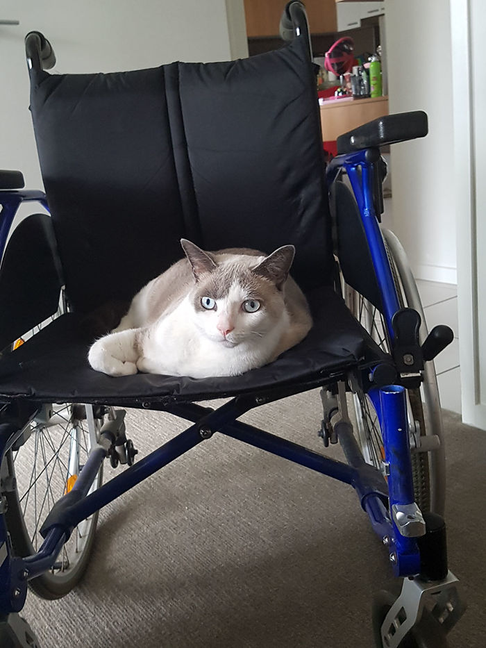 I’m Documenting Myself Slowly Dying From A Rare Disease To Show Why Euthanasia Should Be Legalized I’m Documenting Myself Slowly Dying From A Rare Disease To Show Why Euthanasia Should Be Legalized