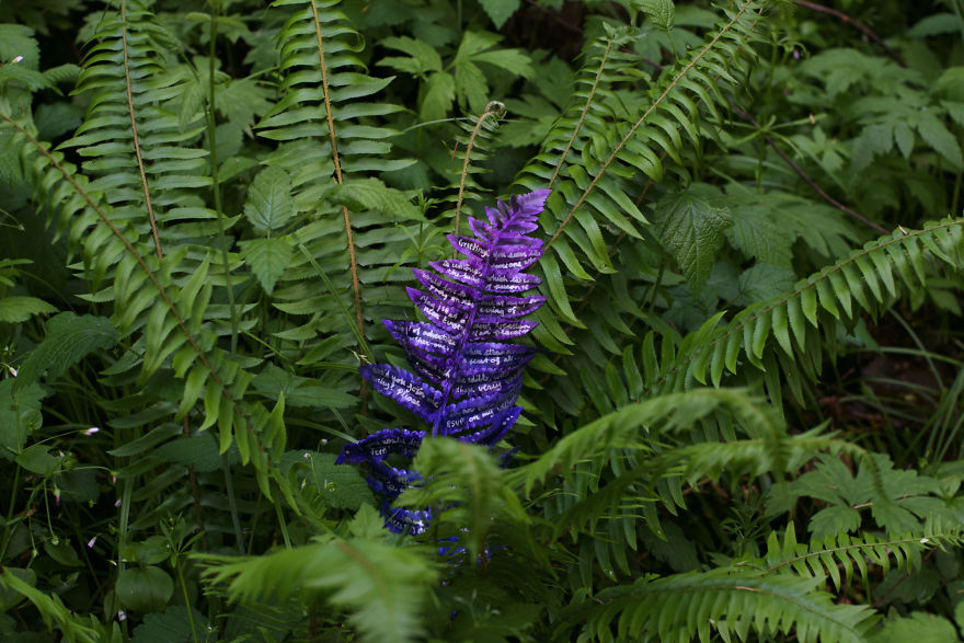 I Throw Fairytale Gatherings For Strangers Because The World Needs More Wonder I Throw Fairytale Gatherings For Strangers Because The World Needs More Wonder