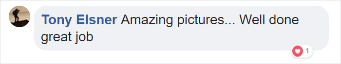 10 Incredible Photos Taken Inside Music Instruments By A Romanian Photographer 10 Incredible Photos Taken Inside Music Instruments By A Romanian Photographer