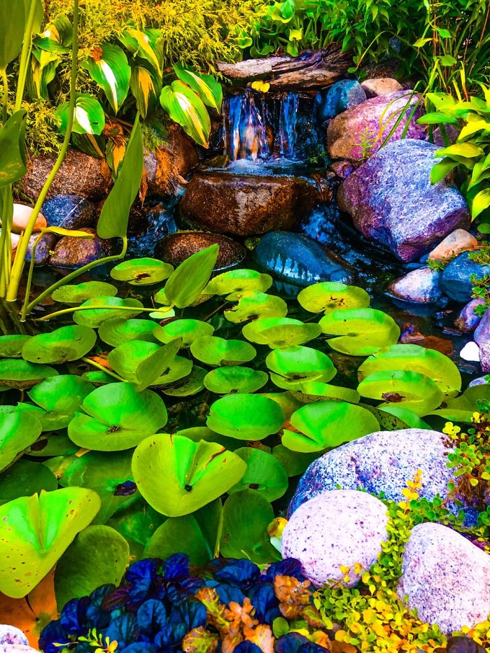 My Favorite Photos From This Summer