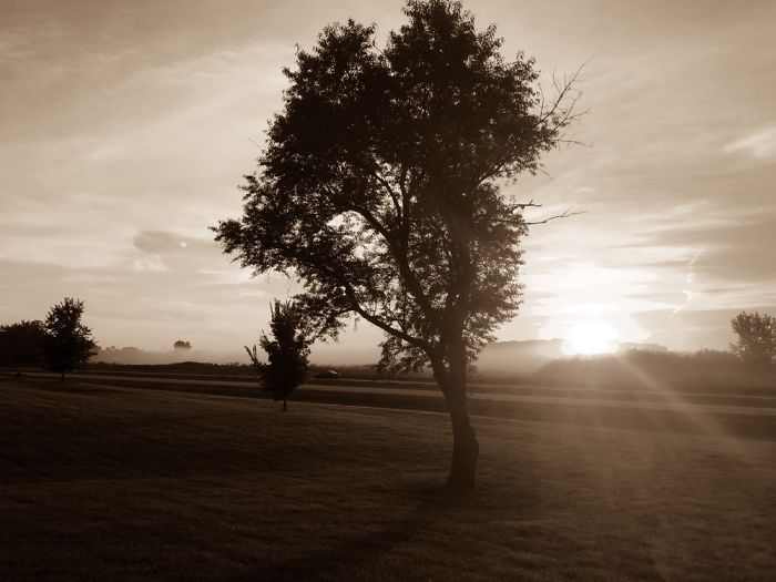 My Favorite Photos From This Summer