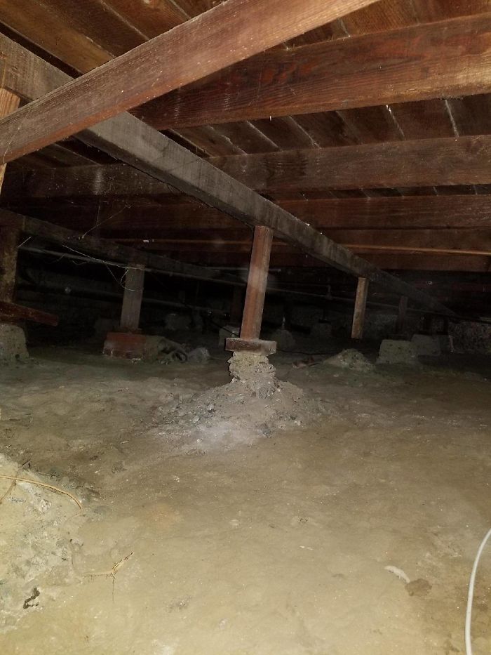 175 Worst Things Seen During Structural Inspections