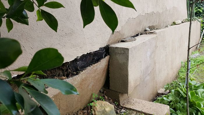 175 Worst Things Seen During Structural Inspections