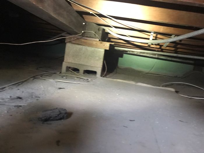 175 Worst Things Seen During Structural Inspections