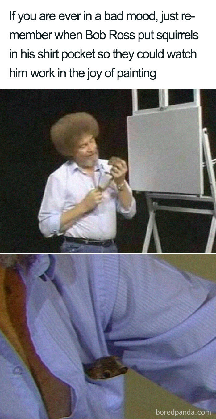 64 Reasons Why Bob Ross Was The Best 64 Reasons Why Bob Ross Was The Best