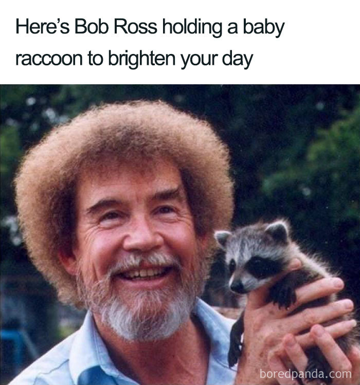 64 Reasons Why Bob Ross Was The Best 64 Reasons Why Bob Ross Was The Best