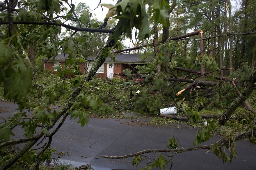 In The Eye Of The Storm In The Eye Of The Storm