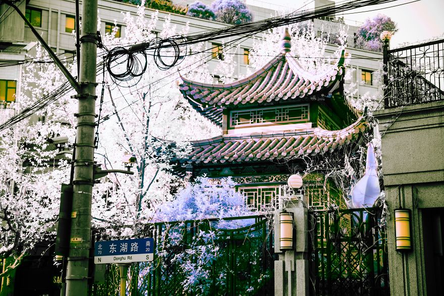I Traveled To Shanghai And Took Some Infrared Images Of The Skyline I Traveled To Shanghai And Took Some Infrared Images Of The Skyline
