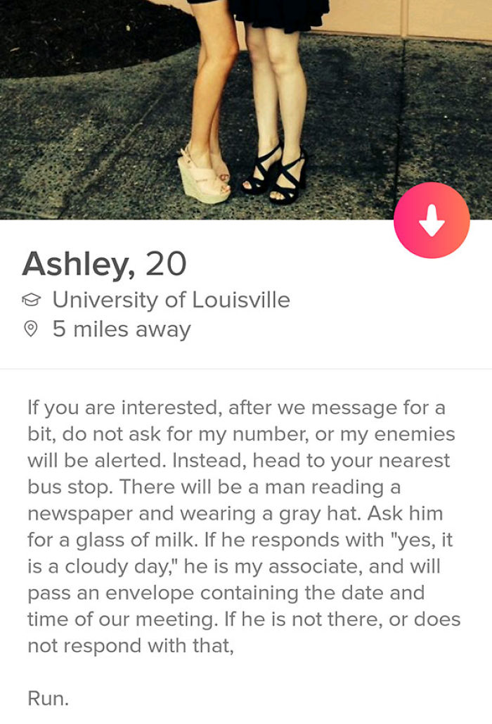 56 Funny Profile Descriptions That Win The Swipe-right Game 56 Funny Profile Descriptions That Win The Swipe-right Game