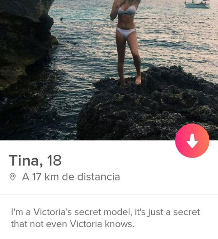56 Funny Profile Descriptions That Win The Swipe-right Game 56 Funny Profile Descriptions That Win The Swipe-right Game