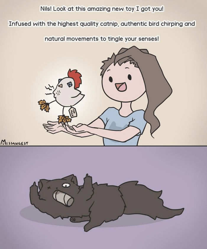 12 Funny Comics Reveal The Reality Of Owning A Cat 12 Funny Comics Reveal The Reality Of Owning A Cat