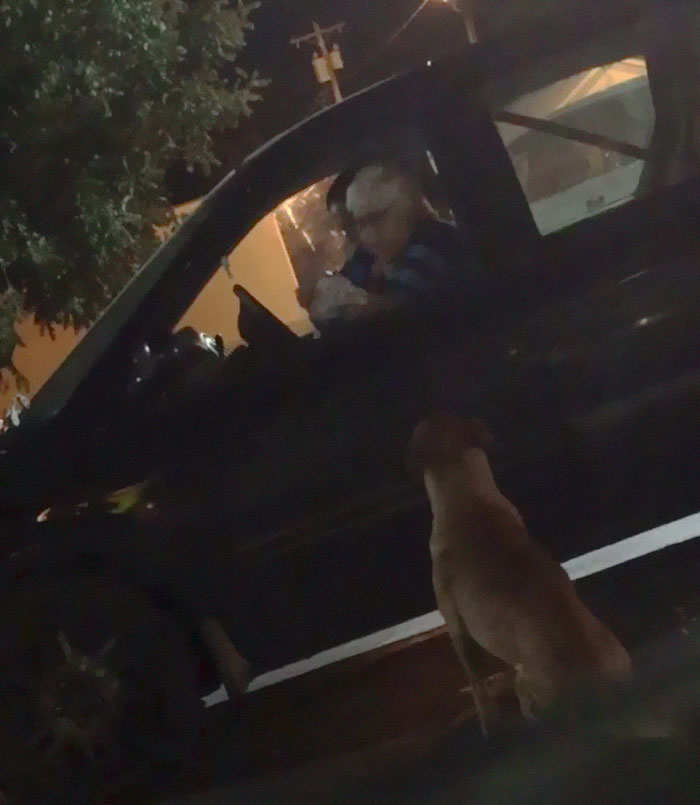 Gold Digging Dog Pretends To Be A Stray In Order To Get Burgers, So Her Owner Decides To Confront Her