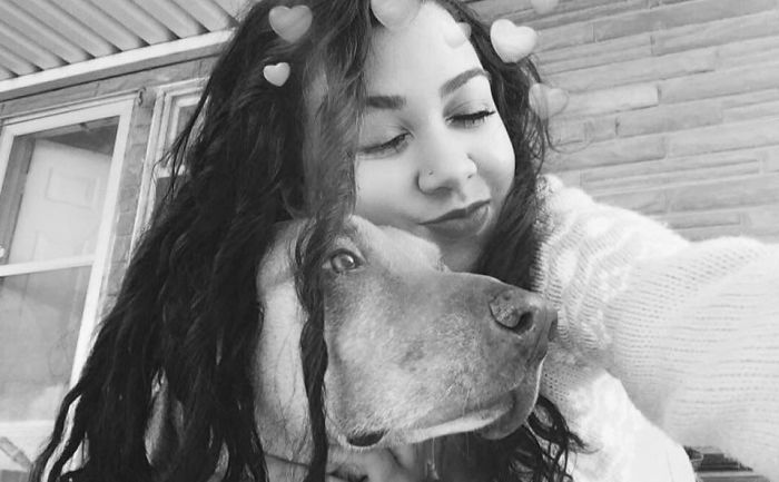 Gold Digging Dog Pretends To Be A Stray In Order To Get Burgers, So Her Owner Decides To Confront Her