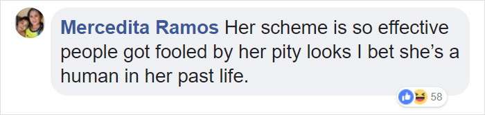 Gold Digging Dog Pretends To Be A Stray In Order To Get Burgers, So Her Owner Decides To Confront Her