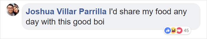 Gold Digging Dog Pretends To Be A Stray In Order To Get Burgers, So Her Owner Decides To Confront Her