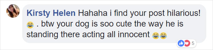 Gold Digging Dog Pretends To Be A Stray In Order To Get Burgers, So Her Owner Decides To Confront Her