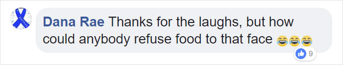 Gold Digging Dog Pretends To Be A Stray In Order To Get Burgers, So Her Owner Decides To Confront Her