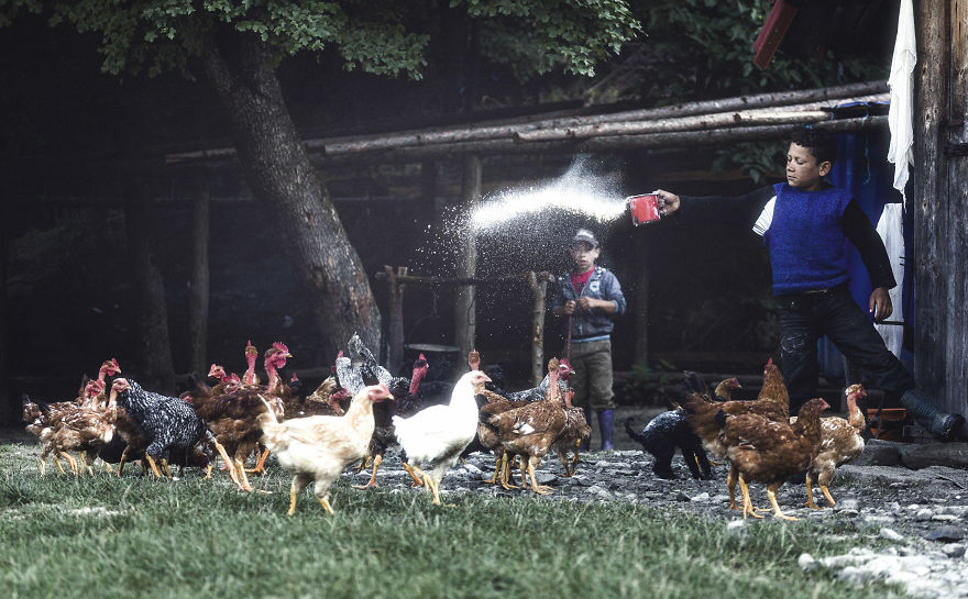 I Have Been Looking For Dracula In Transylvania, But I Found This Instead I Have Been Looking For Dracula In Transylvania, But I Found This Instead