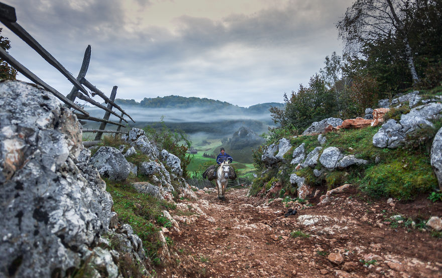 I Have Been Looking For Dracula In Transylvania, But I Found This Instead I Have Been Looking For Dracula In Transylvania, But I Found This Instead