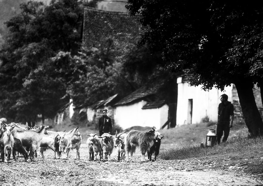 I Have Been Looking For Dracula In Transylvania, But I Found This Instead I Have Been Looking For Dracula In Transylvania, But I Found This Instead