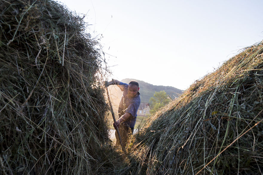 I Have Been Looking For Dracula In Transylvania, But I Found This Instead I Have Been Looking For Dracula In Transylvania, But I Found This Instead
