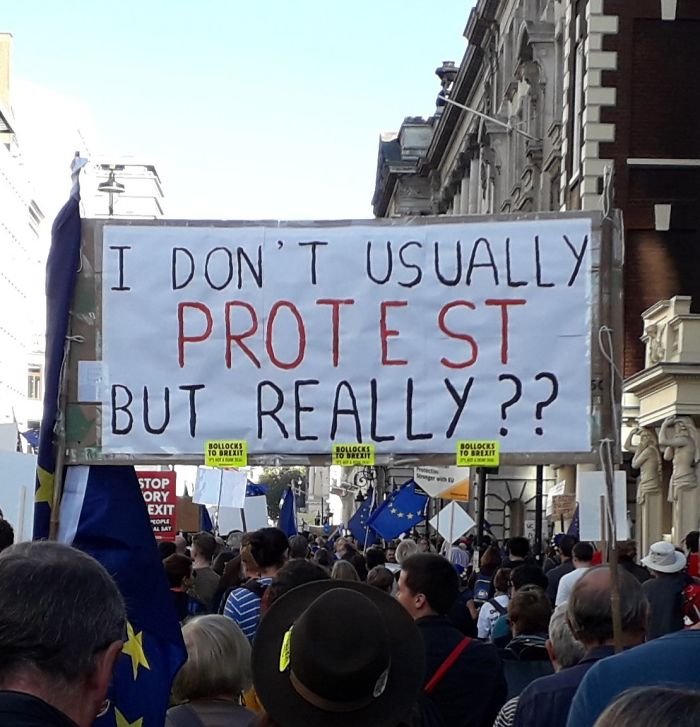 45 Of The Funniest Signs From The Anti-Brexit March 45 Of The Funniest Signs From The Anti-Brexit March