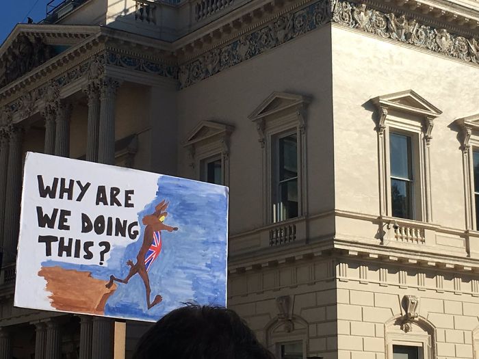 45 Of The Funniest Signs From The Anti-Brexit March 45 Of The Funniest Signs From The Anti-Brexit March
