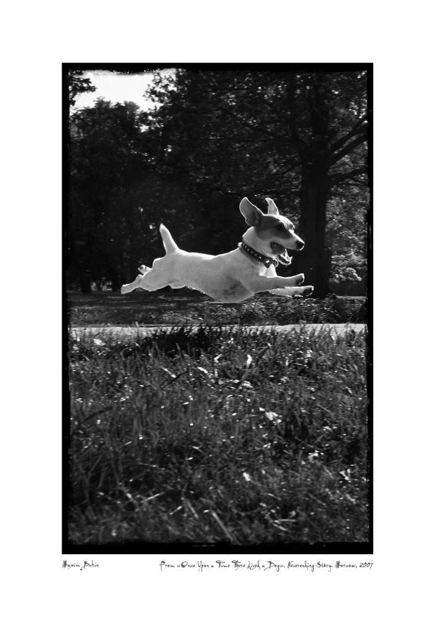 Once Upon A Time There Lived A Dog