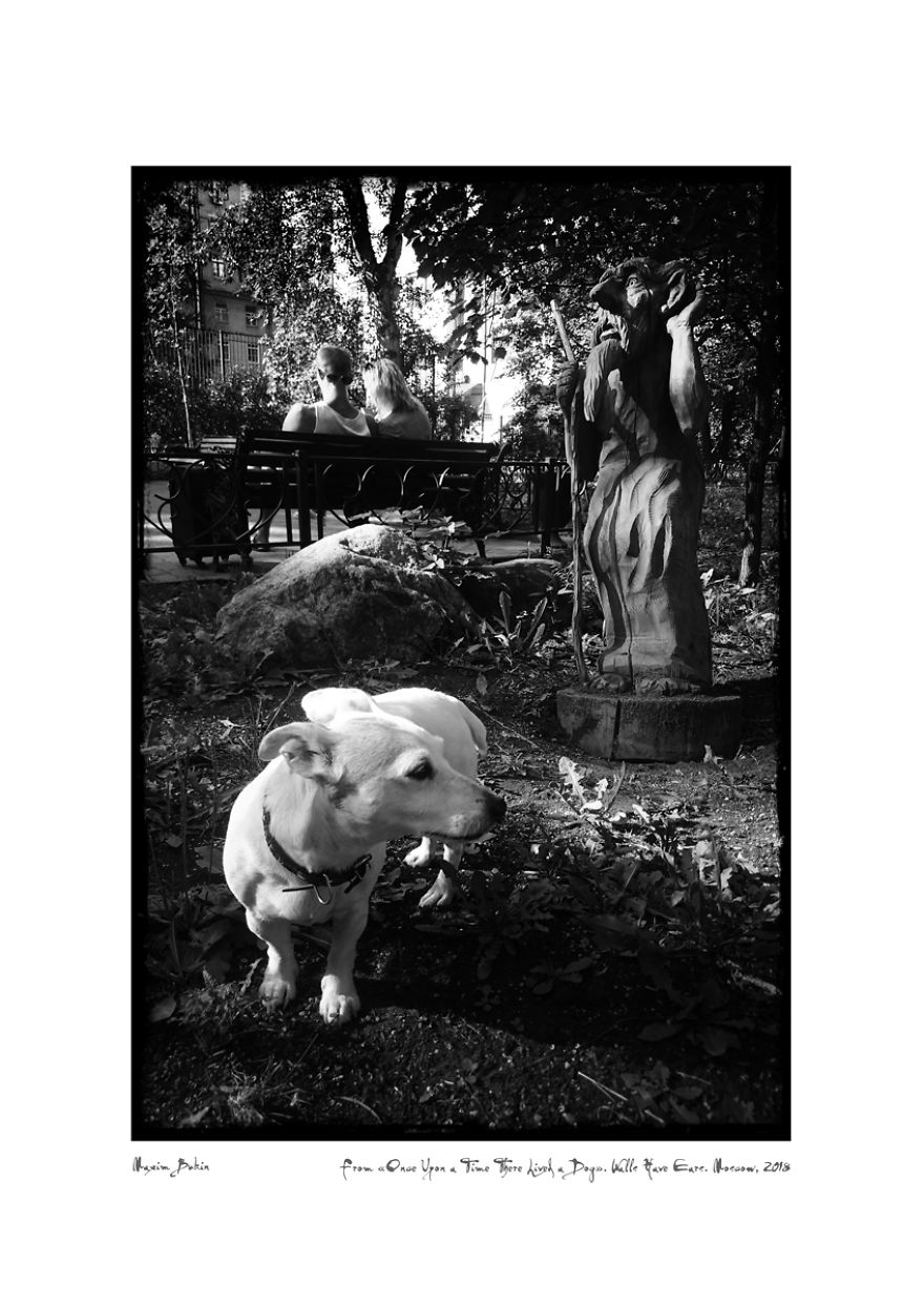 Once Upon A Time There Lived A Dog