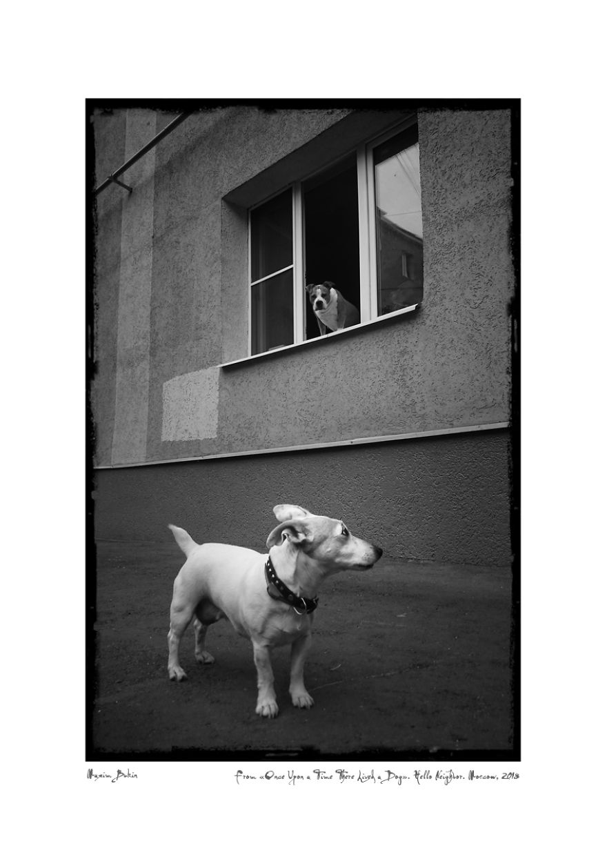 Once Upon A Time There Lived A Dog