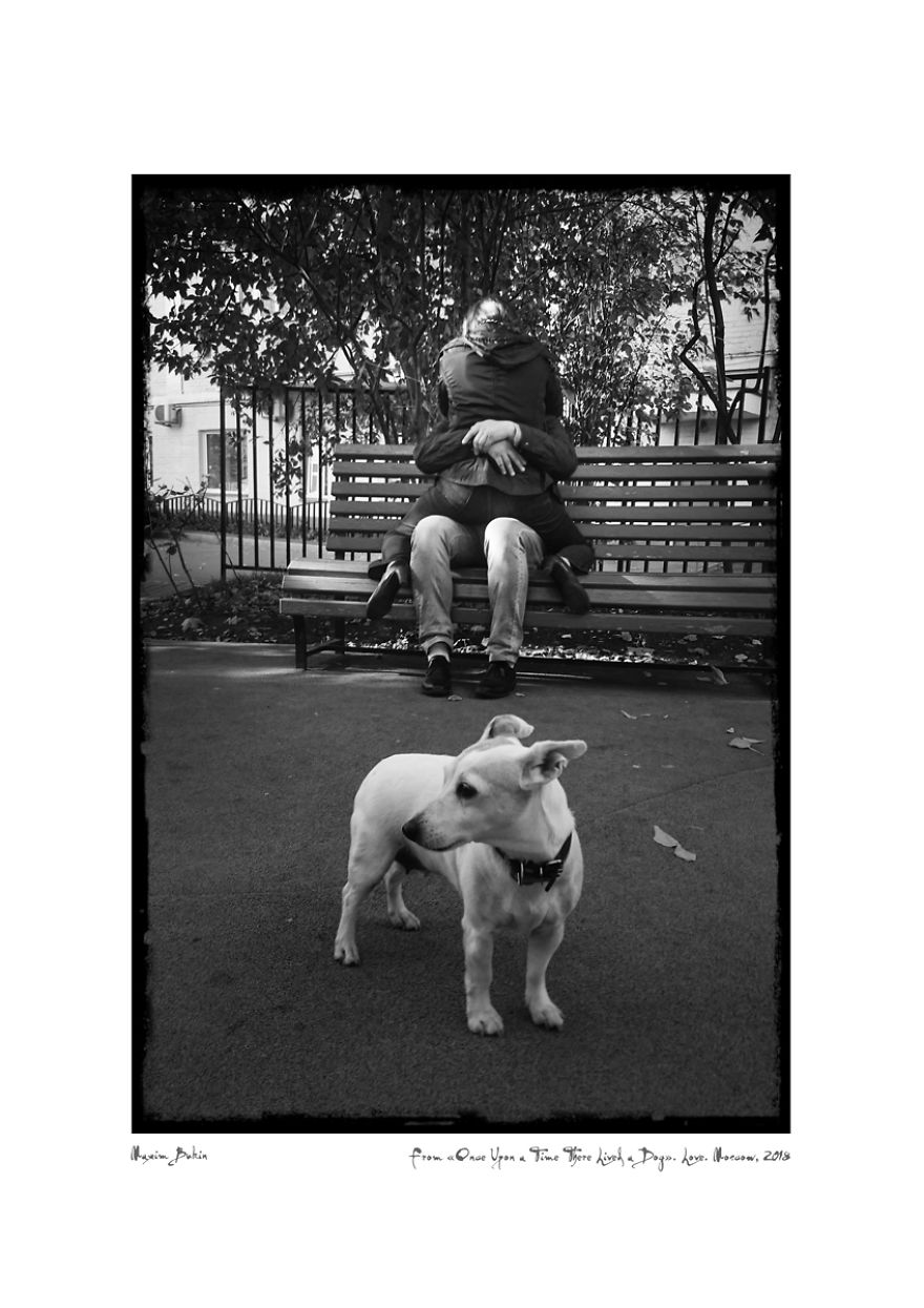 Once Upon A Time There Lived A Dog