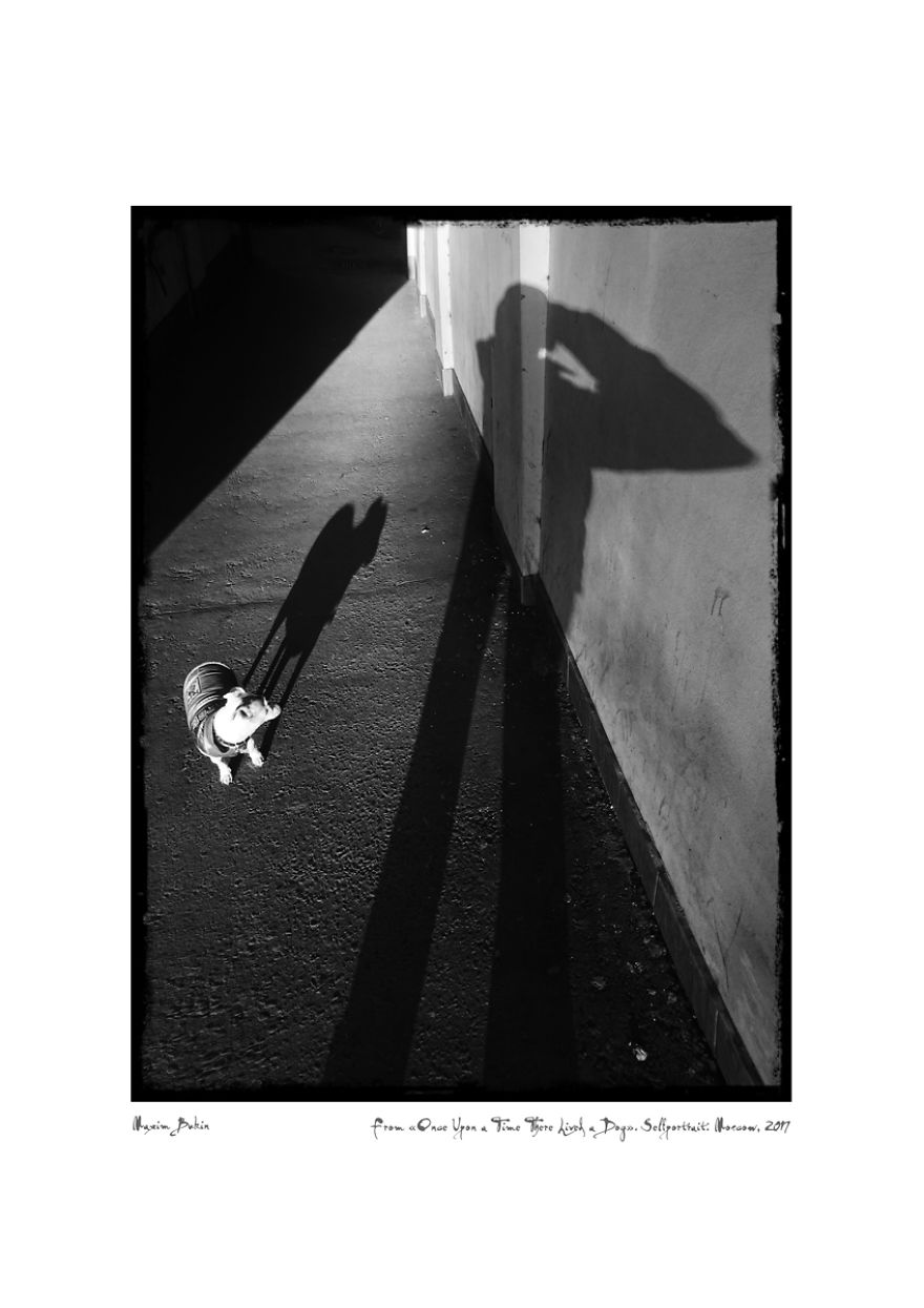 Once Upon A Time There Lived A Dog