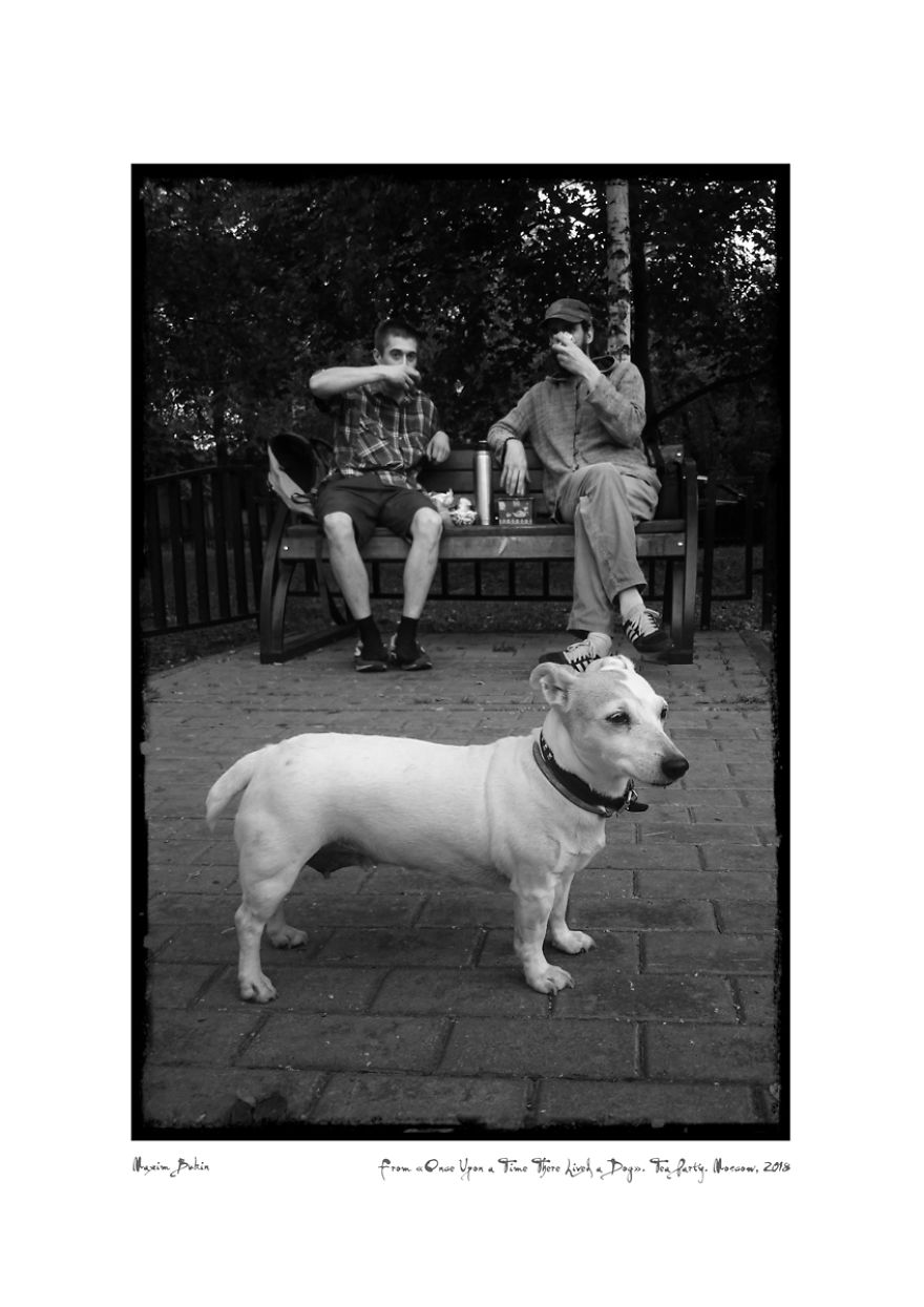 Once Upon A Time There Lived A Dog