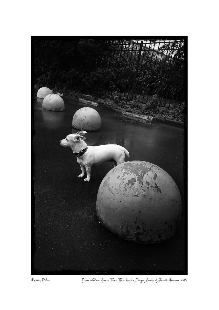 Once Upon A Time There Lived A Dog