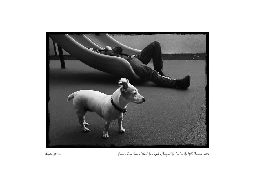 Once Upon A Time There Lived A Dog